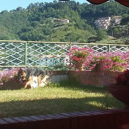Piana Degli Ulivi 圣特伦佐
